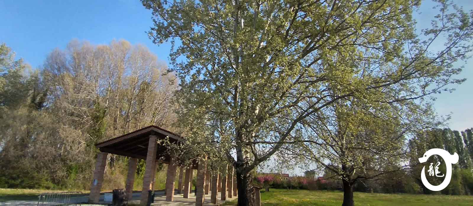 Luogo di pratica - A Noventa Padovana, Padova, e a Borbiago di Mira, Mestre Venezia, corsi di Tai Chi, Baji e QiGong (ginnastica del benessere).